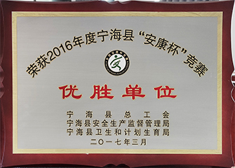 2016 ninghai county 
