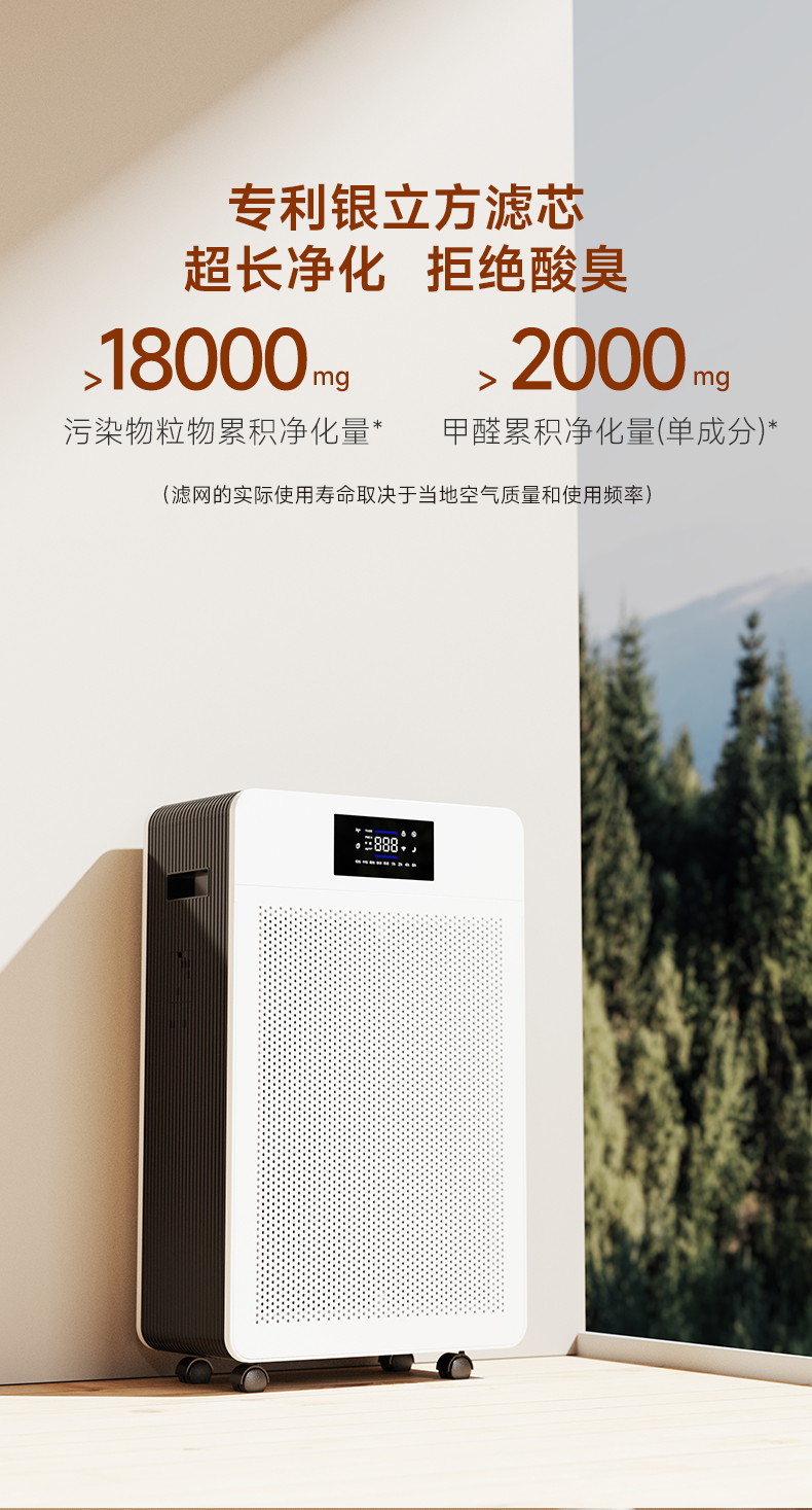 600A-_15.jpg